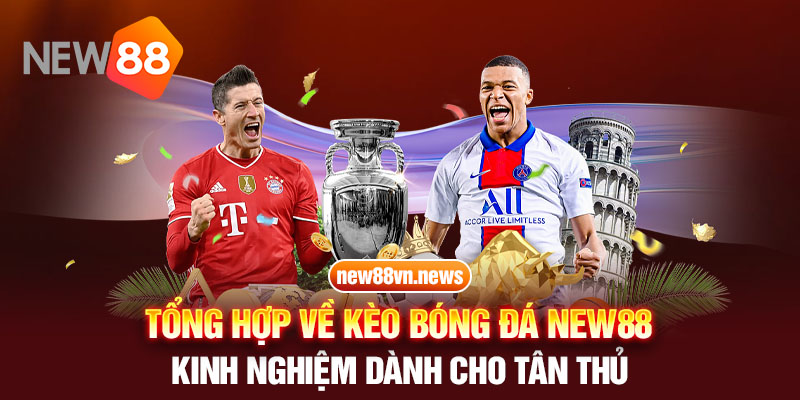 Tổng hợp về kèo bóng đá New88 - Kinh nghiệm dành cho tân thủ