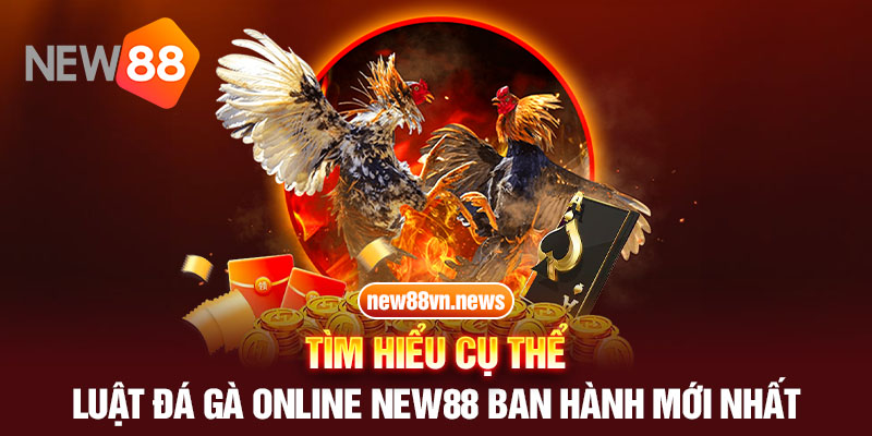 Tìm Hiểu Cụ Thể Luật Đá Gà Online New88 Ban Hành Mới Nhất