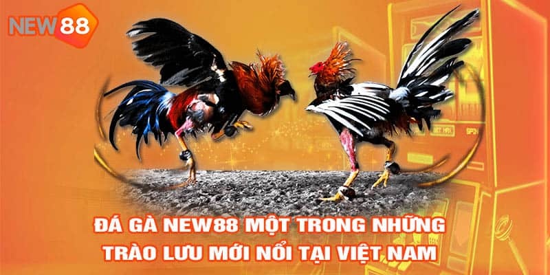 Nguyên tắc cơ bản trong luật đá gà online