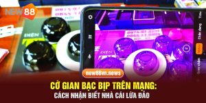 Cờ Gian Bạc Bịp Trên Mạng: Cách Nhận Biết Nhà Cái Lừa Đảo