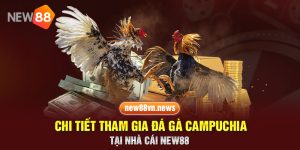 Chi Tiết Tham Gia Đá Gà Campuchia Tại Nhà Cái New88 