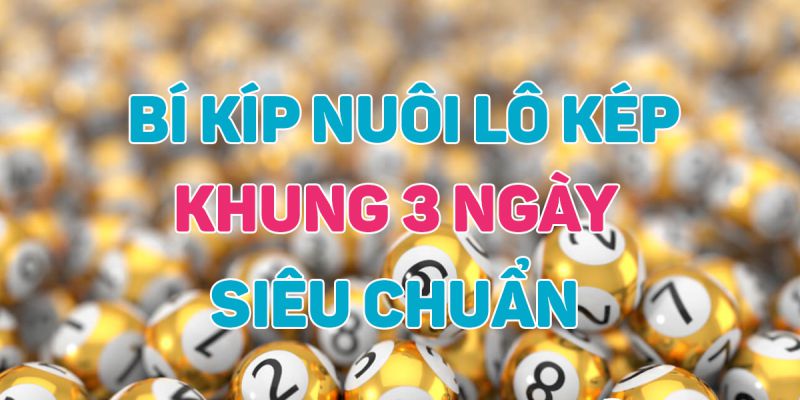 Tỷ lệ vào tiền nuôi bạch thủ lô kép khung 3 ngày